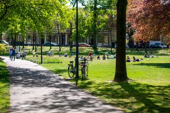 Stichting Managing Public Space foto Shutterstock